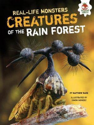 Creatures of the Rain Forest - ebook